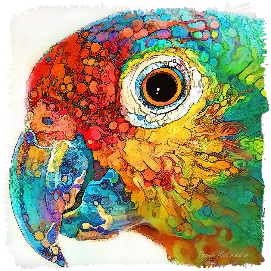 Colourful Parrot Digital Art by Pennie McCracken