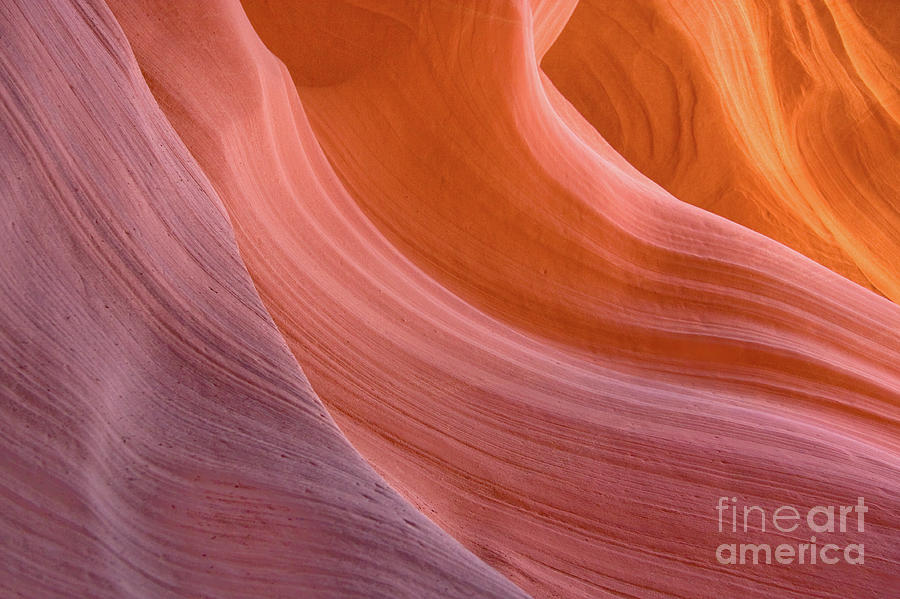 Colourful sandstone inside Lower Antelope Canyon, Arizona Photograph by Julia Hiebaum