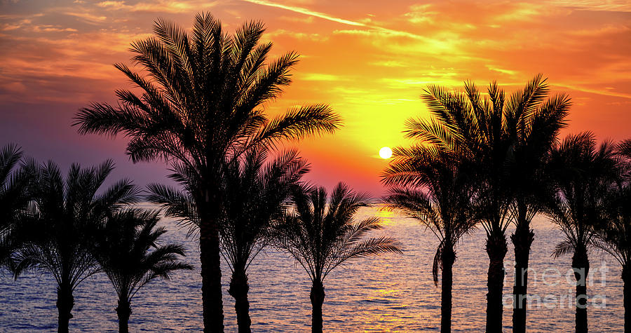 Colourful sunrise over the red sea Photograph by Jane Rix