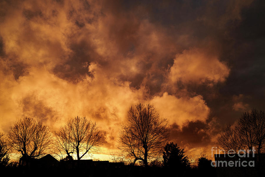 Nature Photograph - Colourful Sunset by Edmond Terakopian