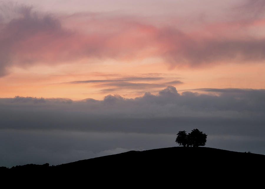 Colourful Sunset With Simple Tree Silhouette Photograph by Peter Kolejak