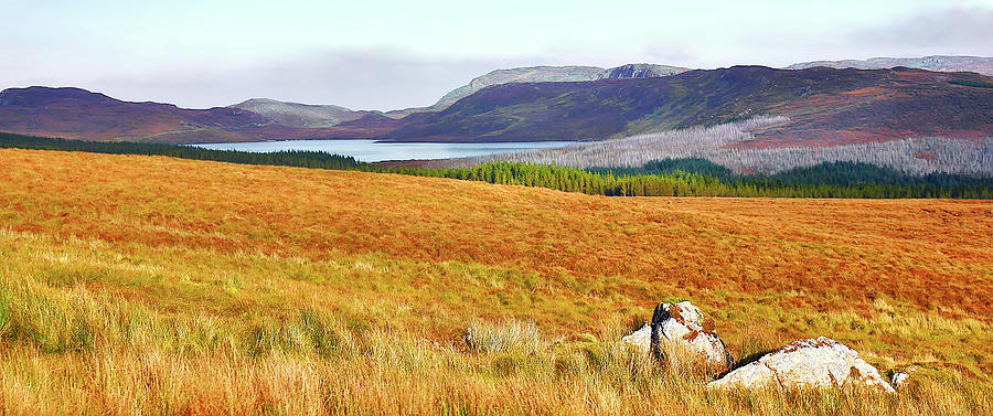 Colours of Autumn - County Donegal Photograph by Lexa Harpell