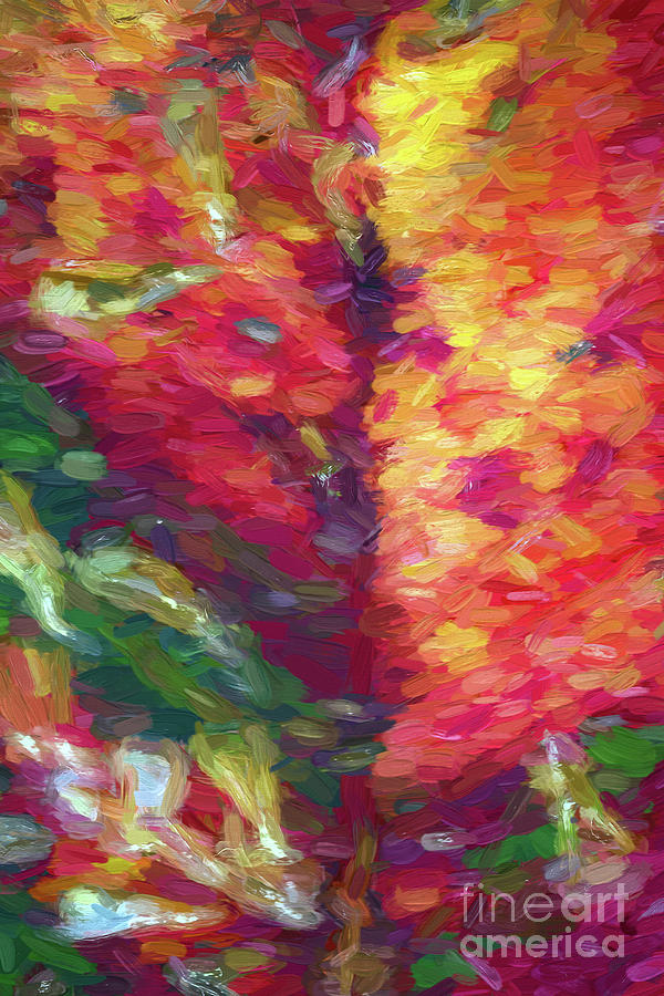 Colours of Autumn Photograph by Elaine Teague