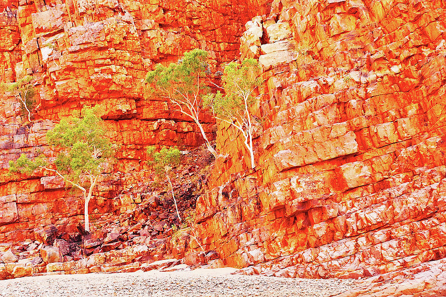 Colours of Ormiston Gorge, Northern Territory #2 Photograph by Lexa Harpell