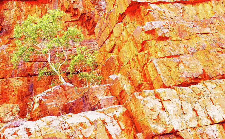 Colours of Ormiston Gorge, Northern Territory Photograph by Lexa Harpell