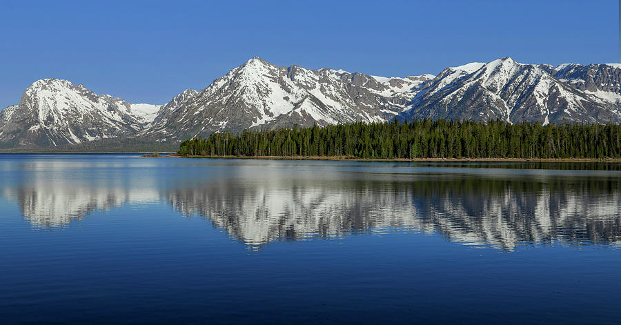 Colter Bay Grand Tetons Reflection Photograph by Dan Sproul