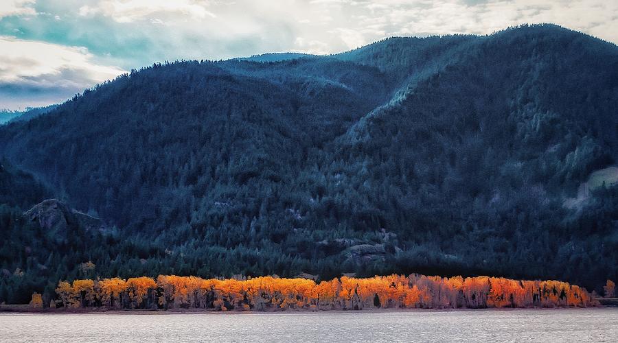 Columbia Gorge Autumn Leaves Photograph