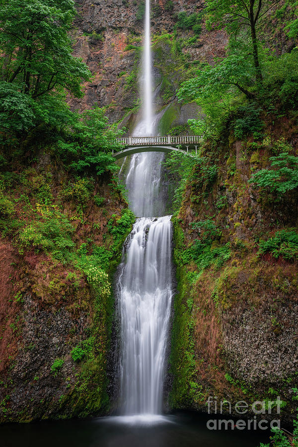 Columbia Gorge, Oregon  Photograph by Michael Ver Sprill