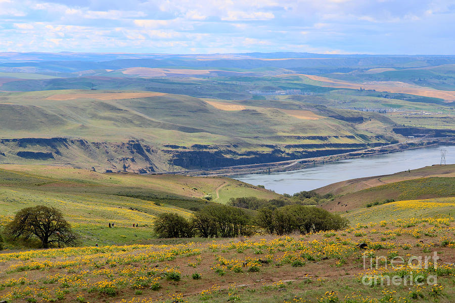 Columbia Hills Historical State Park Photograph by Carol Groenen