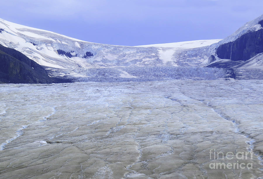 Columbia Icefield Photograph