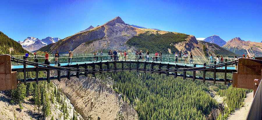 Columbia Icefield Skywalk Photograph by Tim Stanley