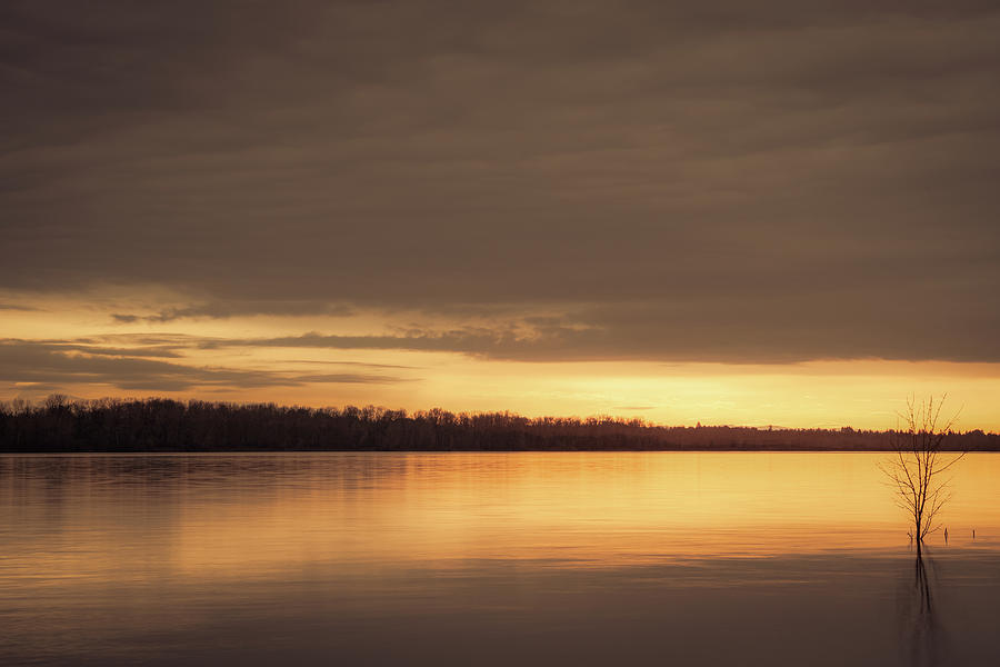 Columbia River Winter Sunrise Photograph by Don Schwartz