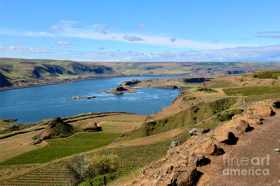 Columbia River with Spring Green Hills  Photograph by Carol Groenen