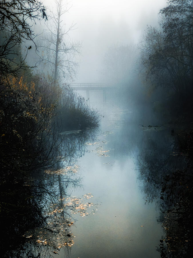 Columbia Slew Fog Photograph by Chris Sveen | Fine Art America