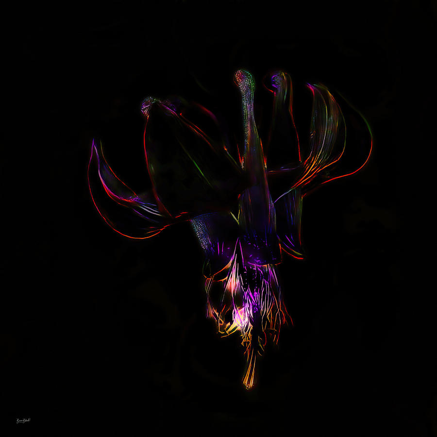 Columbia Tiger Lily Photograph by Bruce Block