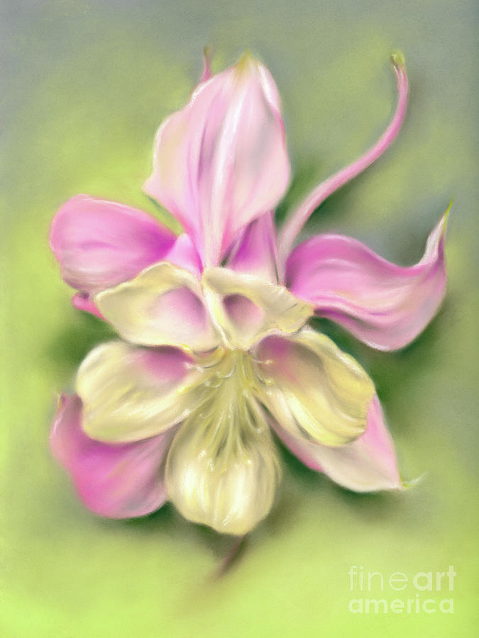 Columbine Blossom Pink and Cream on Green Painting by MM Anderson