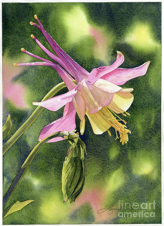 Flowers Still Life Painting - Columbine Glow by Lorraine Watry
