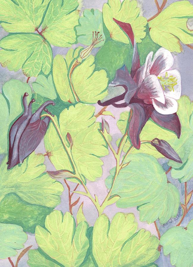 Flowers Still Life Painting - Columbine by Rachel Osteyee