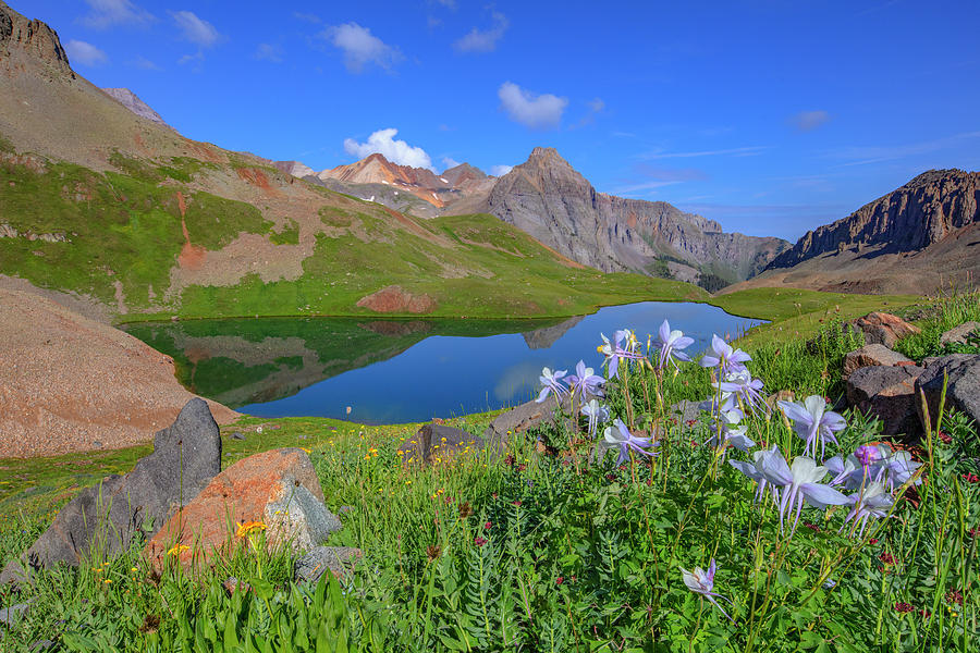 Columbine Wildflowers And Upper Blue Lake 7261 Photograph