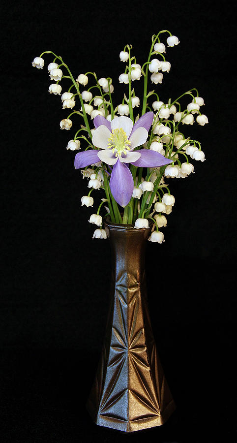 Columbine with Lily of the Valley Vase Photograph by Patti Deters