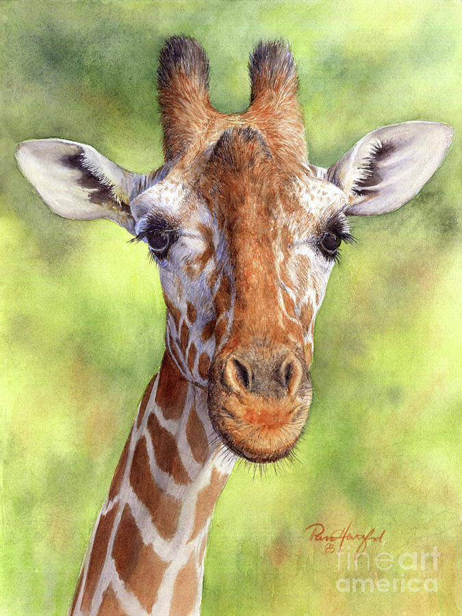 Columbus Zoo Giraffe Portrait Painting by Pam Hartford - Fine Art America