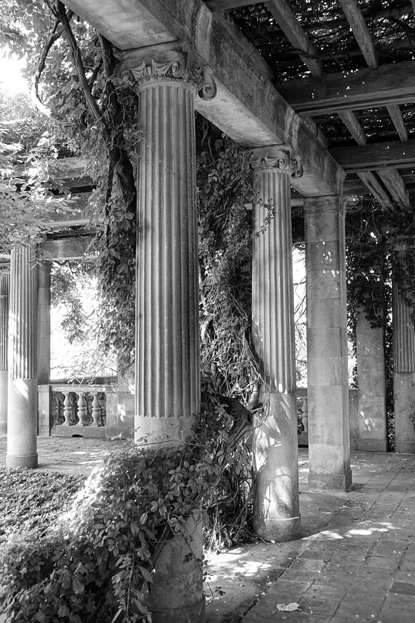 Columns and Trellises Photograph by Patricia Caron