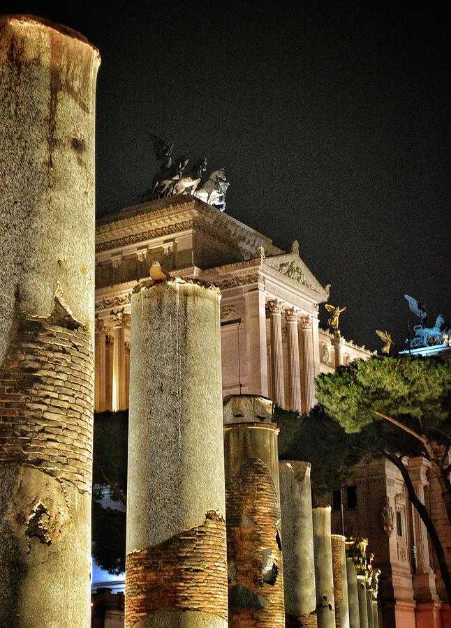 Columns And Wings - Foro - Roma Photograph