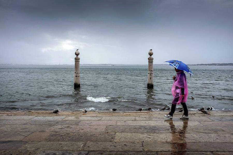 Columns Dock in the Rain Photograph by Carlos Caetano