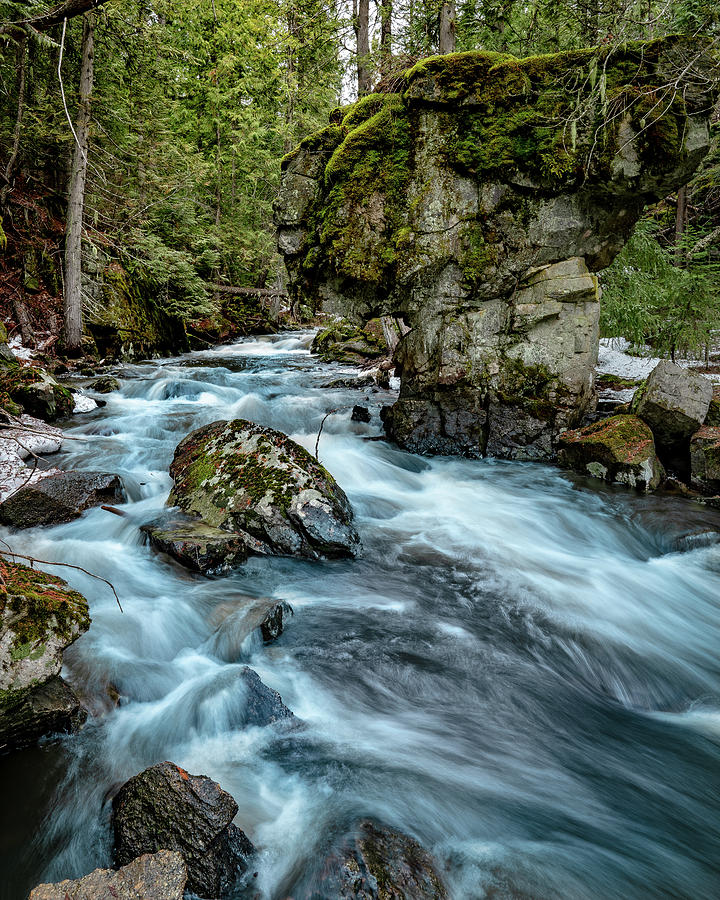 Colville National Forest Photograph by Miles Bergsma - Fine Art America