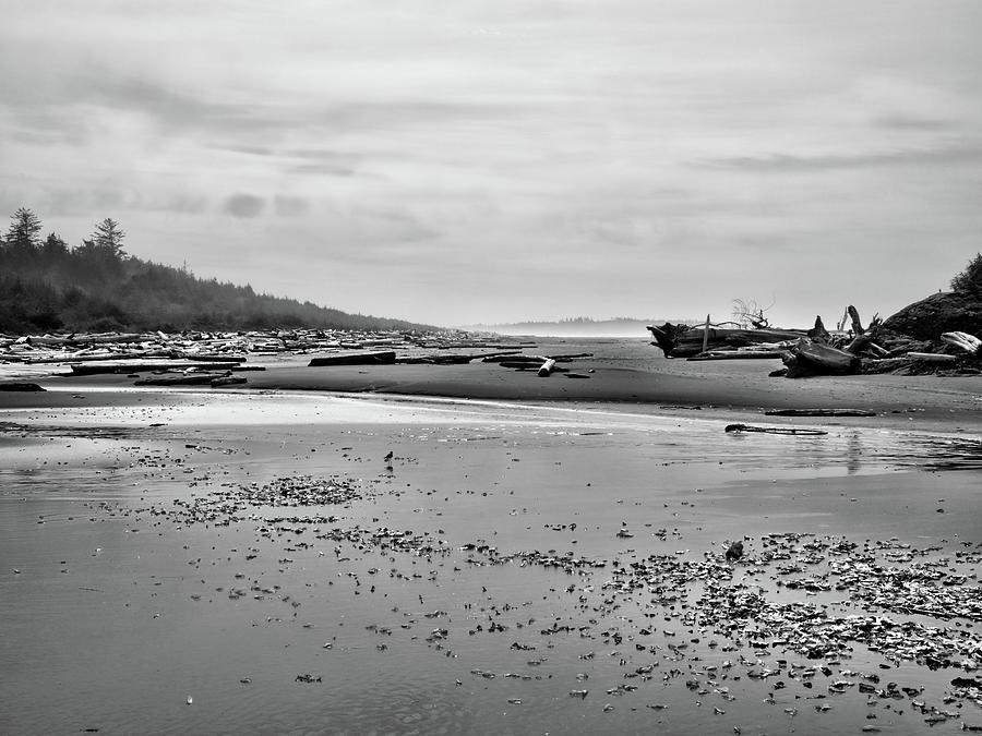 Combers Beach Black and White Photograph by Allan Van Gasbeck