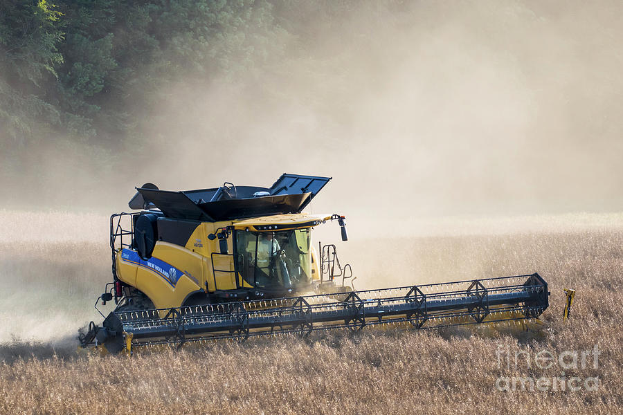 Combine Harvester Photograph by Arterra Picture Library