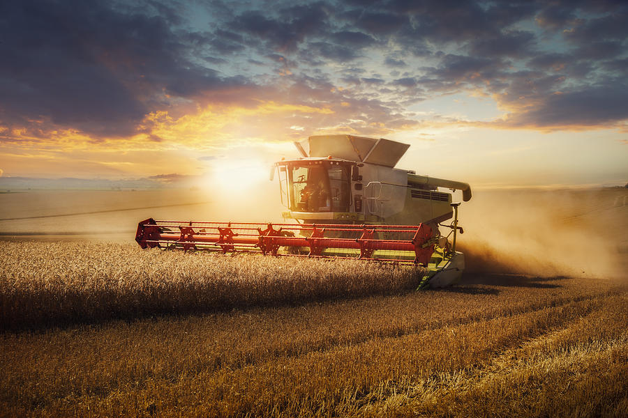 Combine harvester at gold light. Photograph by ArtistGNDphotography