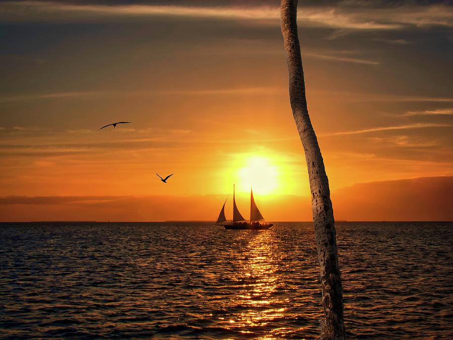 Come Sail Away Photograph by Jack Wilson
