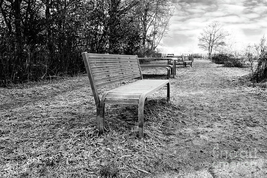 Come sit awhile on a frosty park bench  Photograph by Pics By Tony