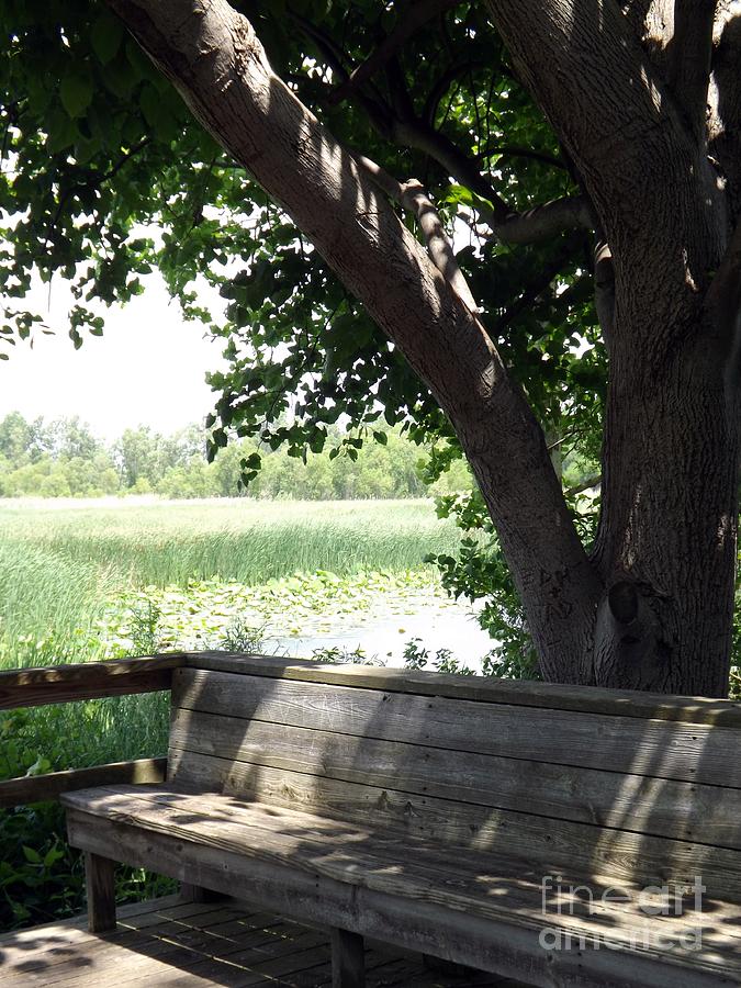 Bench Photograph - Come take a seat by Sara Raber