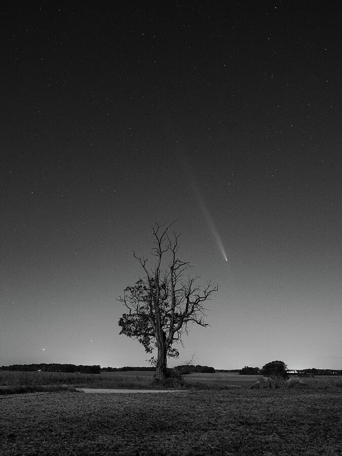Comet and Tree Photograph by Grant Twiss Comet and Tree Photograph by Grant Twiss