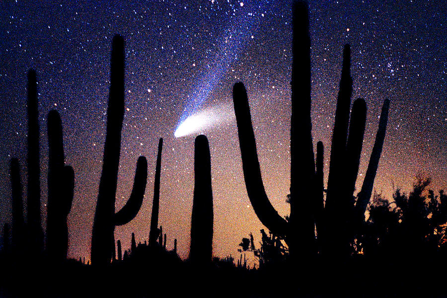 Saguaro National Park Photograph - Comet Hale-Bopp and Giant Saguaro Silhouettes by Douglas Taylor