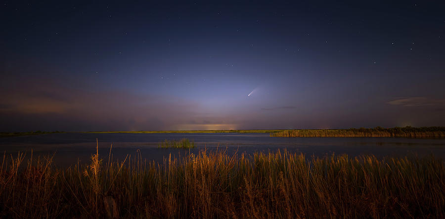 Comet in the Everglades Photograph by Mark Andrew Thomas