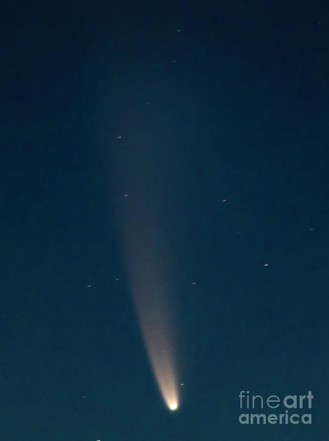 Comet Photograph by Mark Jackson