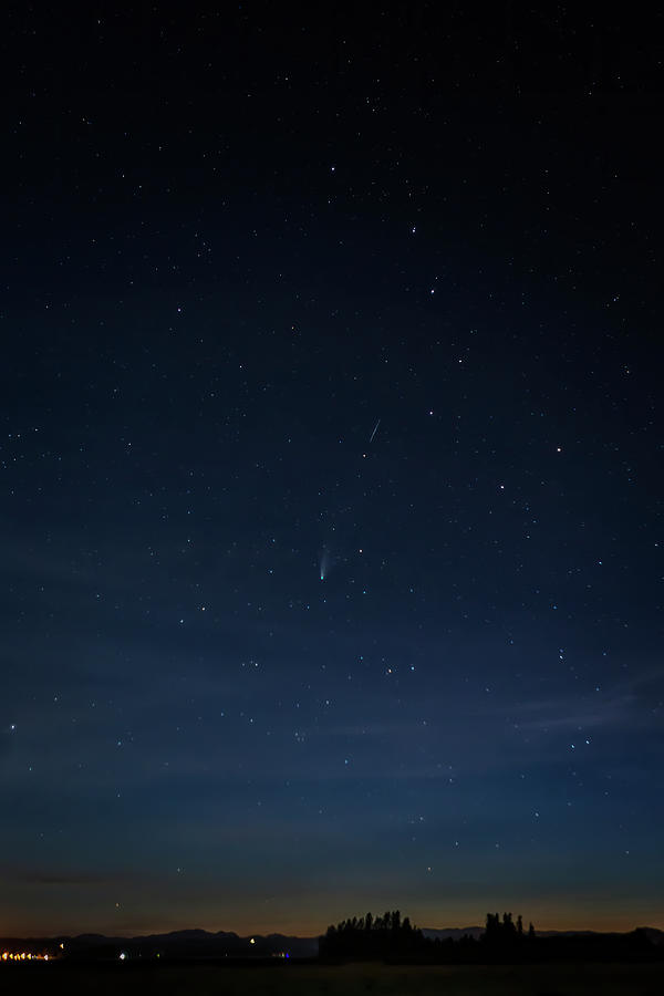 Comet Neowise, A Shooting Star And The Big Dipper Over Fern Ridge Photograph