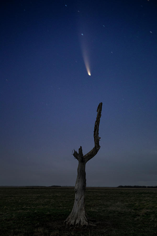 comet NEOWISE Photograph by Aaron J Groen