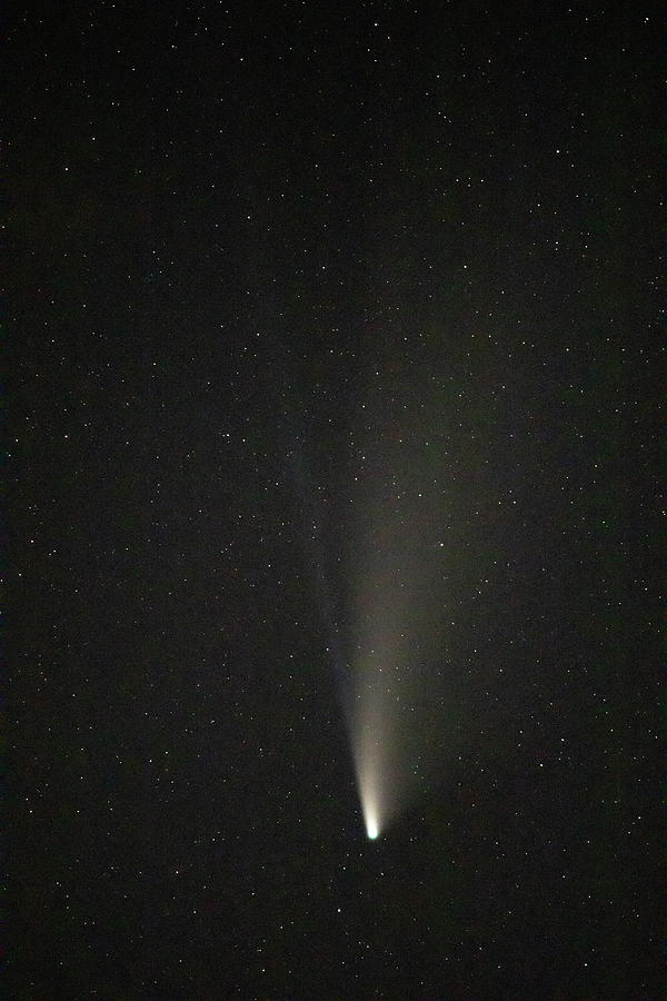 Bay Photograph - Comet NEOWISE by Jakub Sisak
