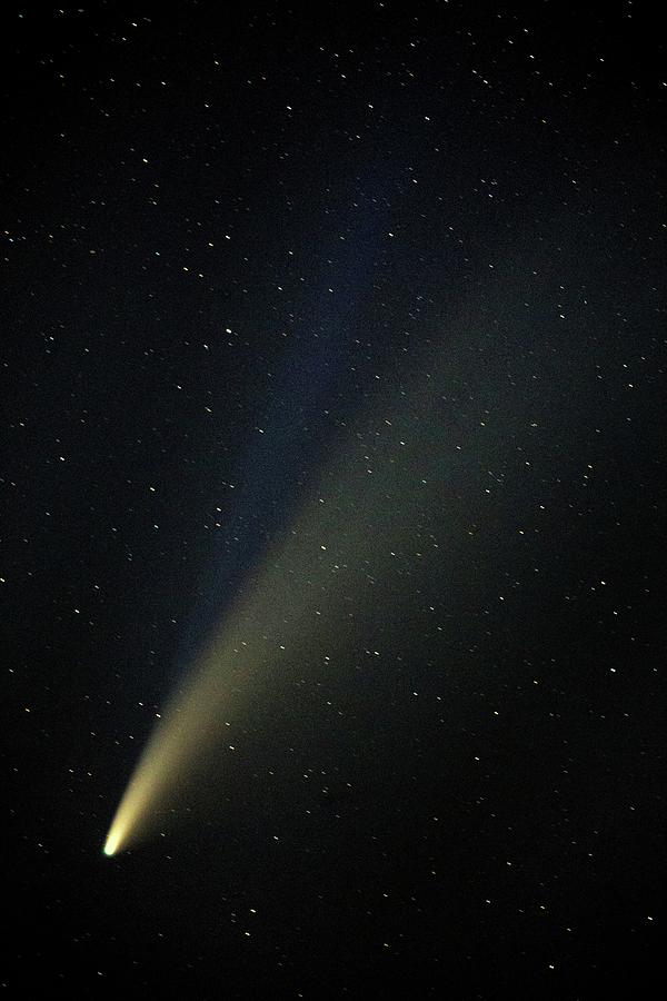 Comet NEOWISE Photograph by John Meader