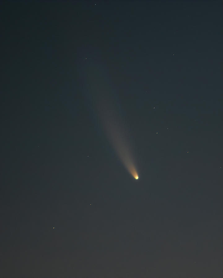 Comet Neowise Photograph by Ray Silva