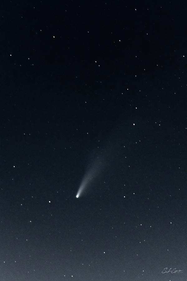 Comet NEOWISE Photograph by Steven Sparks