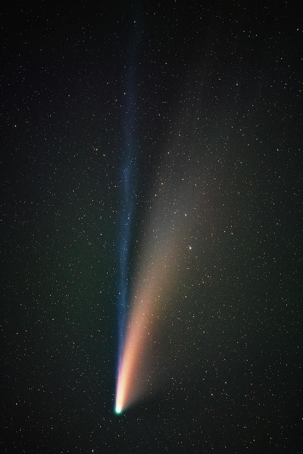 Space Photograph - Comet Neowise Tails by Darren White