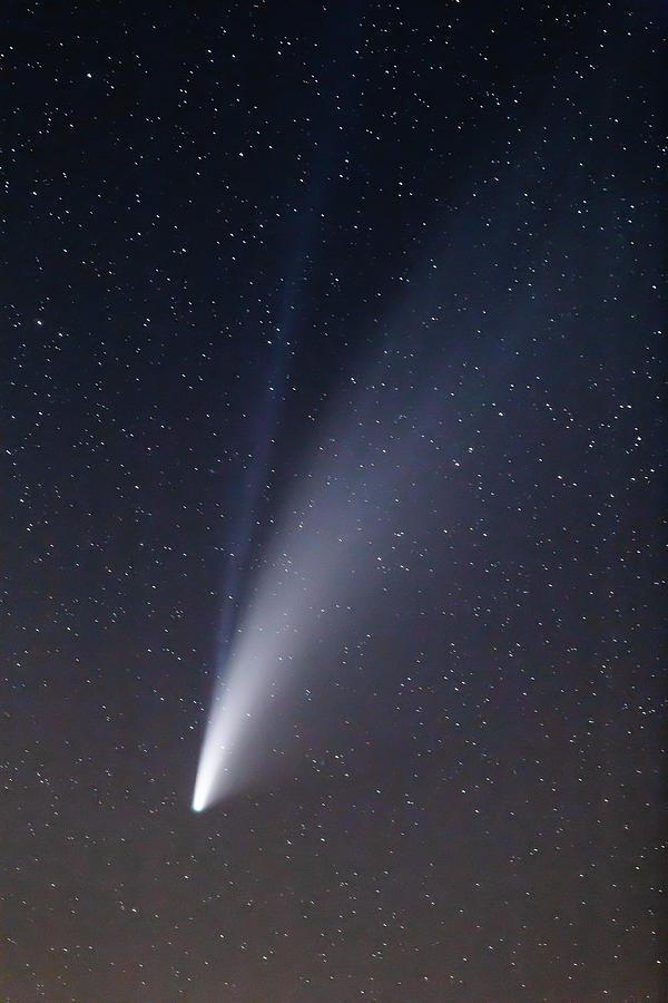 Night Photograph - Comet NEOWISE by Tim Kirchoff