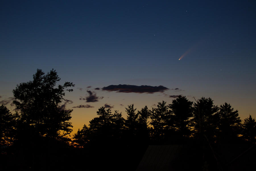Comet over the Pines Photograph by John Meader