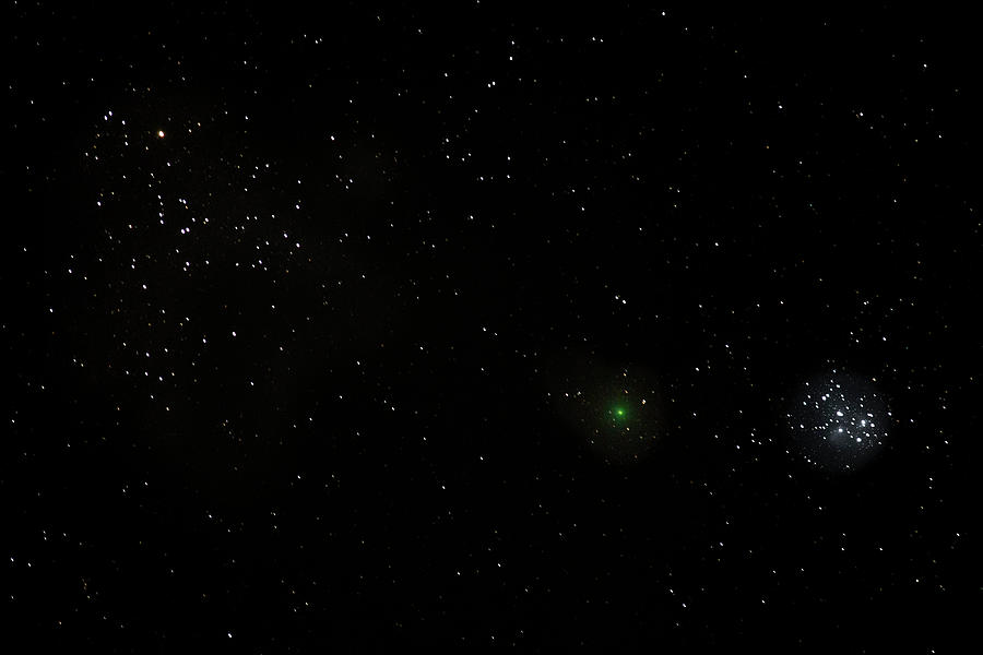 Comet Wirtanen and the Pleiades Photograph by John Meader