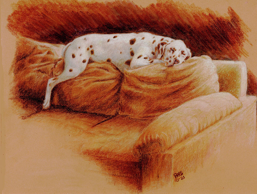 Comforts of Home Drawing by Pris Hardy